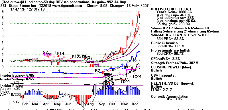 SSI.GIF (15111 bytes)