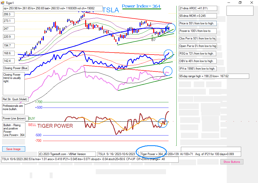 TSLA.PNG (74439 bytes)