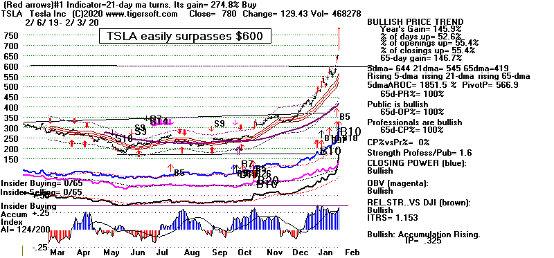 TSLA.GIF (15905 bytes)